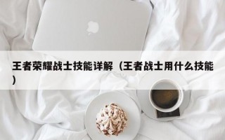 王者荣耀战士技能详解（王者战士用什么技能）