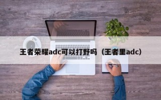 王者荣耀adc可以打野吗（王者里adc）