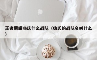 王者荣耀嗨氏什么战队（嗨氏的战队名叫什么）