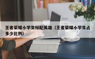 王者荣耀小学生标配英雄（王者荣耀小学生占多少比例）